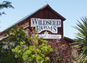 Wildseed Farms